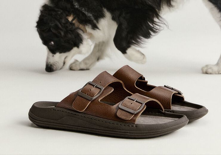 Chinelo marrom ao lado de um cachorro explorando.